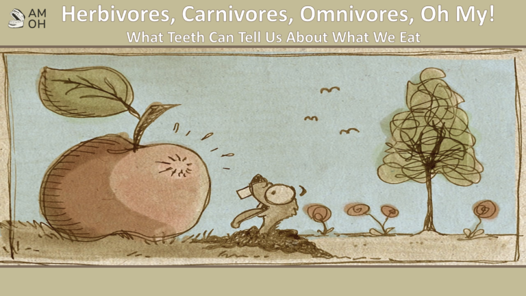 Herbivores, Carnivores, and Omnivores, Oh My!: What Teeth Can Tell Us About What We Eat